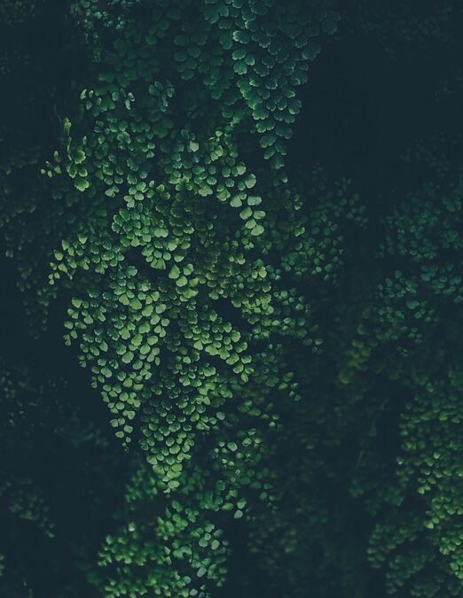 Why Mint 3D NFTs are the Hottest Trend in Digital Art Right Now